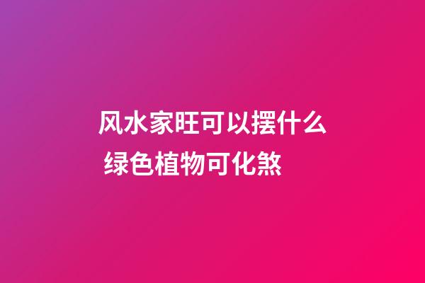 风水家旺可以摆什么 绿色植物可化煞